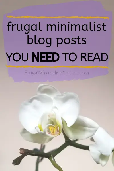 orchids and text: frugal minimalist blog posts you need to read