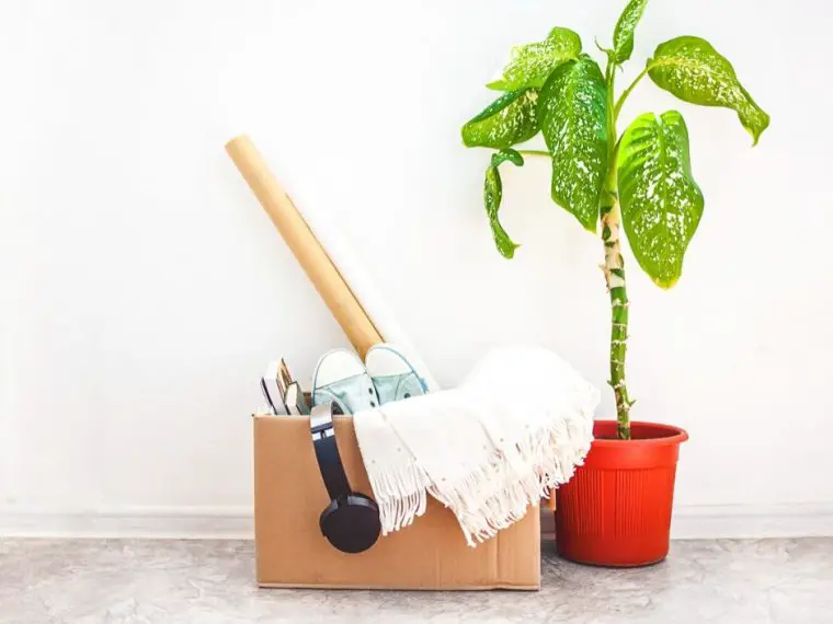 decluttering stuff you don't want
