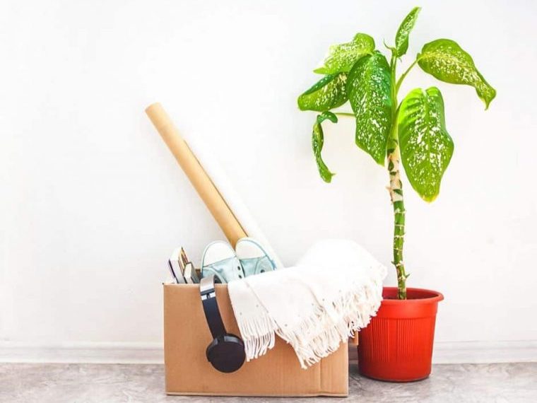 decluttering stuff you don't want