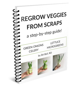 How to Regrow Celery From the Stalk • Frugal Minimalist Kitchen
