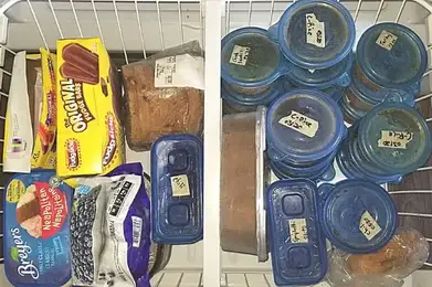 Buying My First Freezer, Crazy About This Rail-Basket Organizing System! –  Between Naps on the Porch