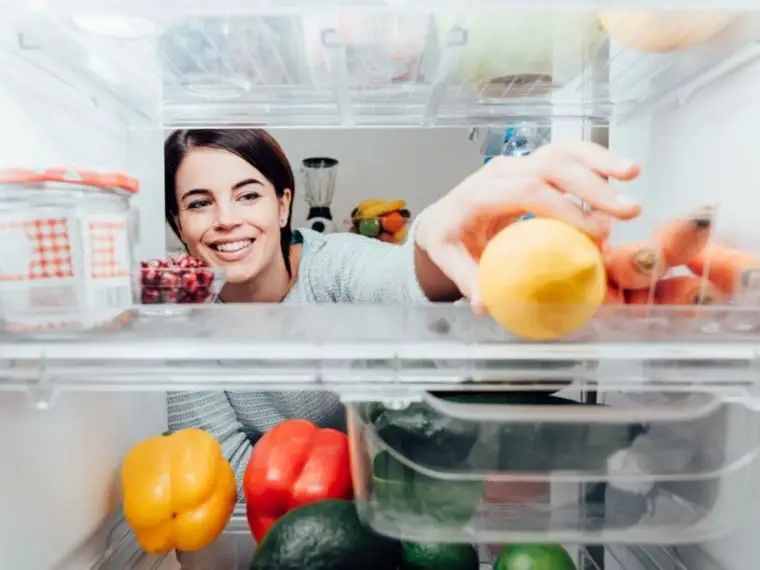 best fridge liners