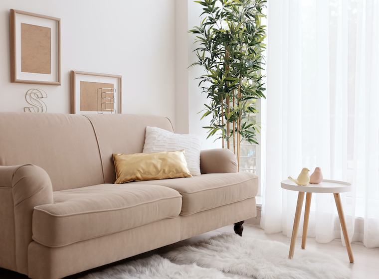 minimalist hygge blush and gold living room sofa with pillows, tree