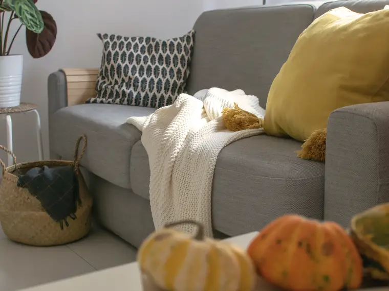 minimalist fall decor living room with grey sofa, cream blanket, mustard pillow, squash in foreground